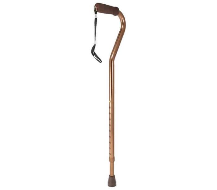 Bronze Walking Stick with Strap