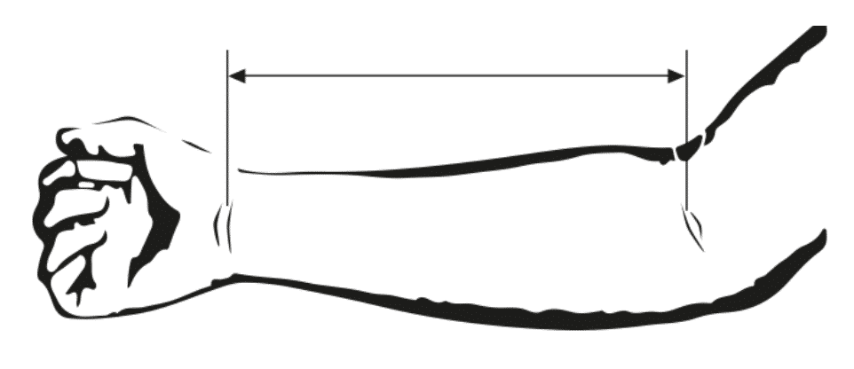 Arm measurement length picture