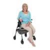 EZ Fold N Go Rollator Sitting