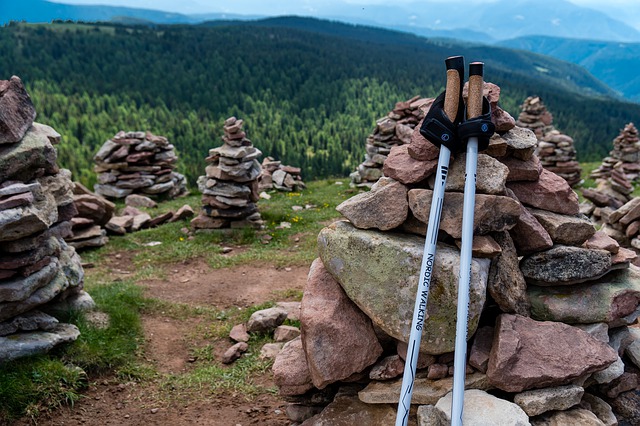 Walking Stick to Buy Online Australia Walking Stick to Buy Online Australia