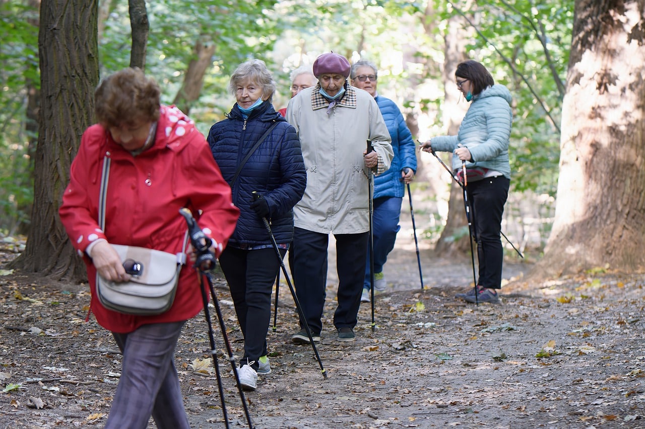 Walking Sticks in Australia 2022