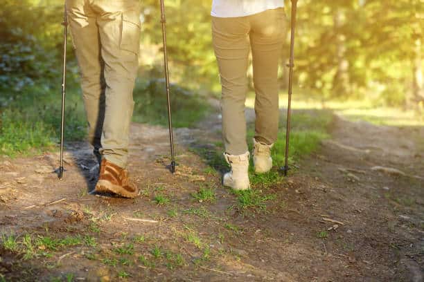 Walking Stick With Seat For Sale