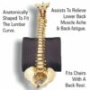 Deluxe Back Rest Cushion - Regular - Image 4