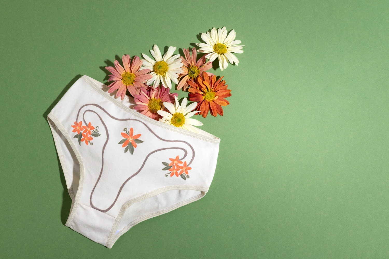 Incontinence Underwear: How It's Changing The Lives Of People With