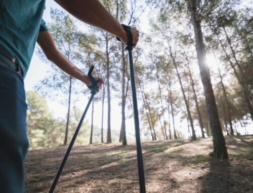 The Psychology Behind Using Walking Sticks: Why It’s Not Just About Physical Support