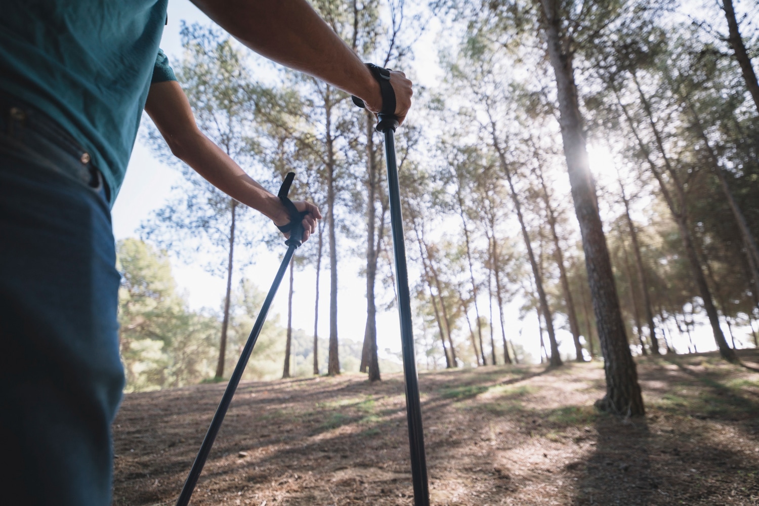 Psychology Behind Using Walking Sticks