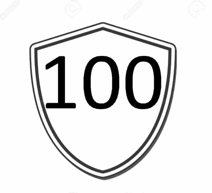 Security Bond 100