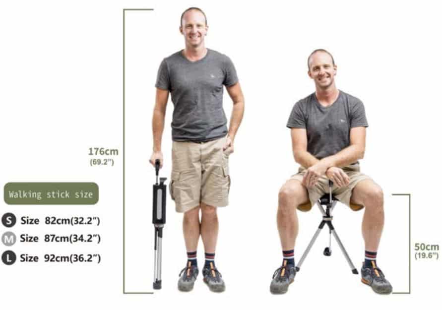 Ta-Da Walking Stick Chair - Image 4